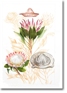 A2 Drawing - Folio of Useful Plants 2