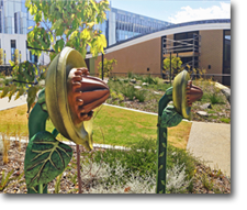 Game - Fiona Stanley Hospital Public Art