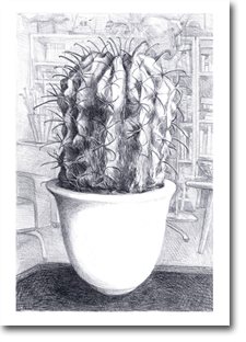 A2 Drawing - House Plant
