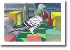 A2 Drawing - Pigeon