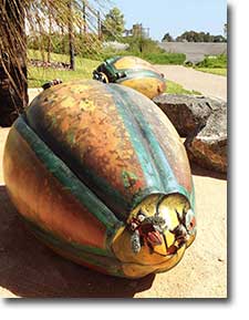 Fiona Stanley Hospital Recent Images