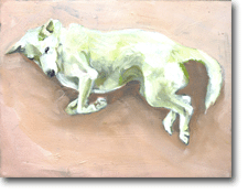 Small Oil On Board "Mapusa On Her Side"