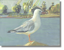 Small Oil On Board " Gull "