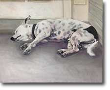 Sleeping Dog | Large Oil On Canvas